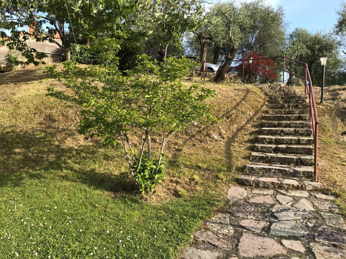 Apartamento La Casa Fra Gli Ulivi Lerici Exterior foto
