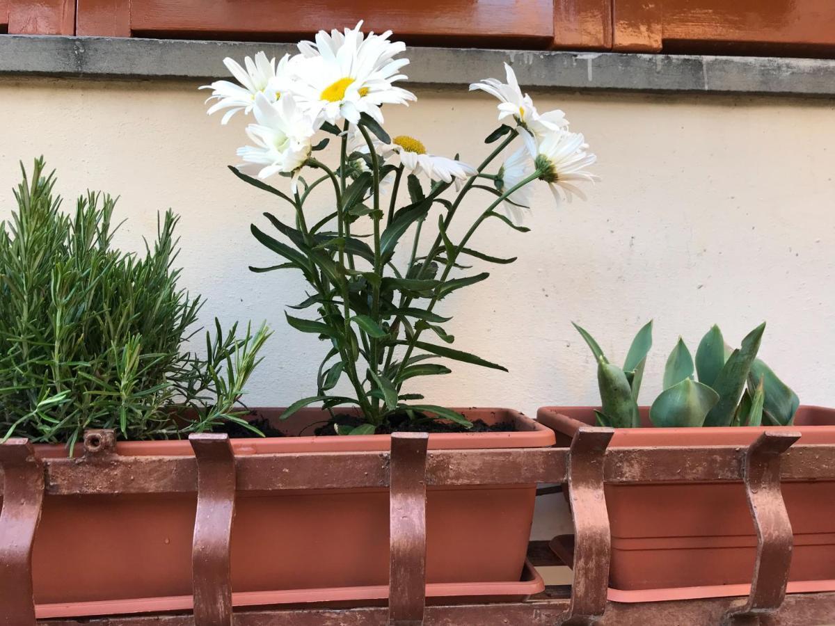 Apartamento La Casa Fra Gli Ulivi Lerici Exterior foto