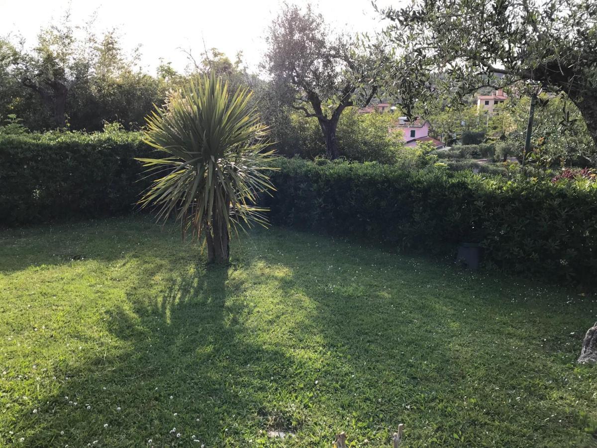 Apartamento La Casa Fra Gli Ulivi Lerici Exterior foto